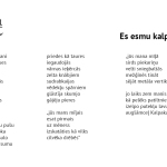 Andra Manfelde "Es esmu Kalpaka tilts"